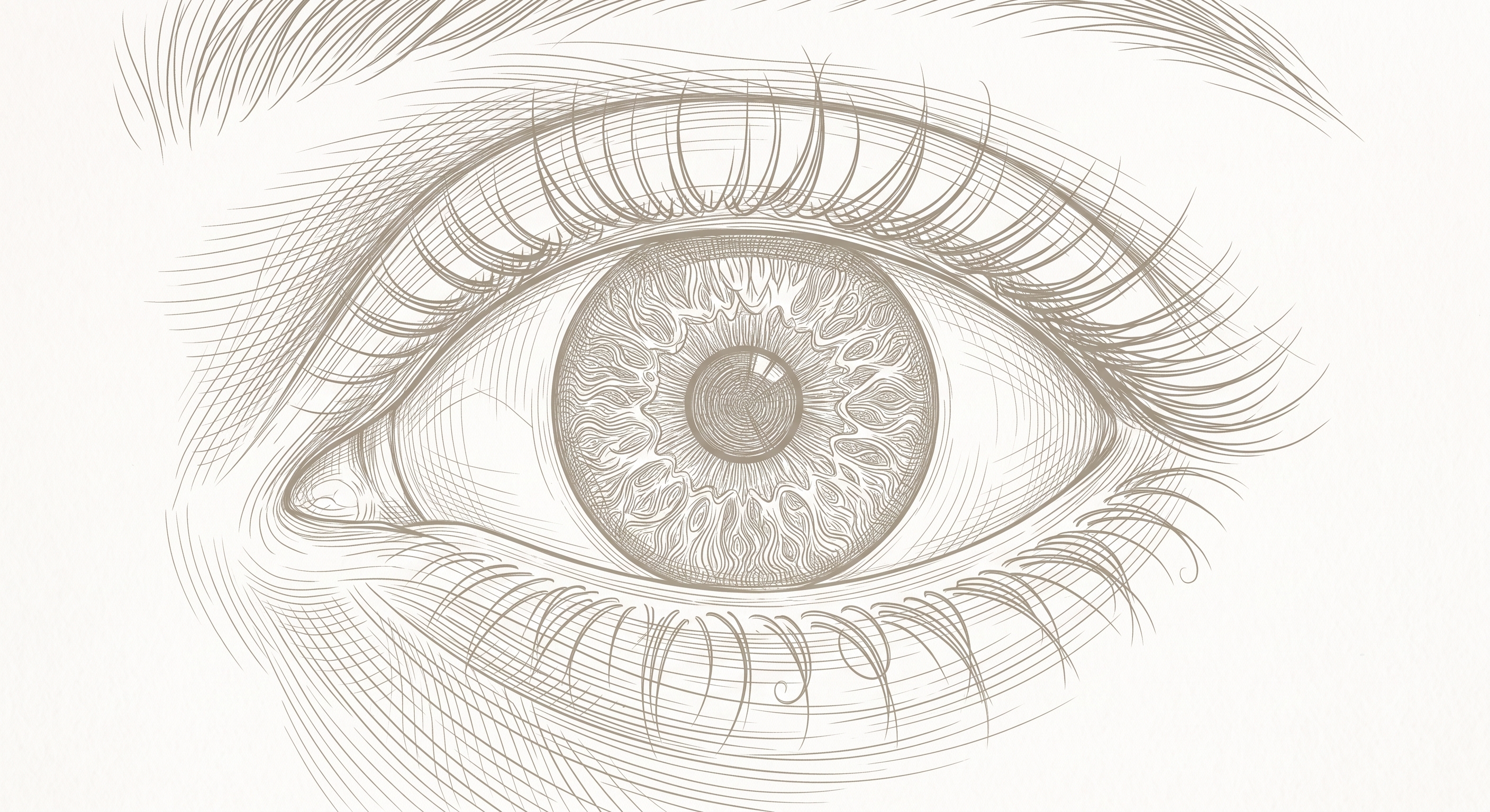 Ojo